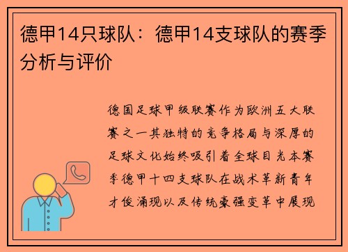 德甲14只球队：德甲14支球队的赛季分析与评价